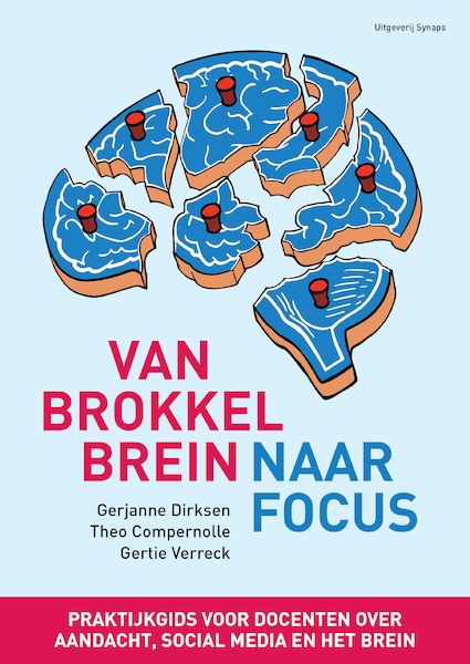 Van brokkelbrein naar focus - Gerjanne Dirksen, Gertie Verreck, Theo Compernolle (ISBN 9789082286229)