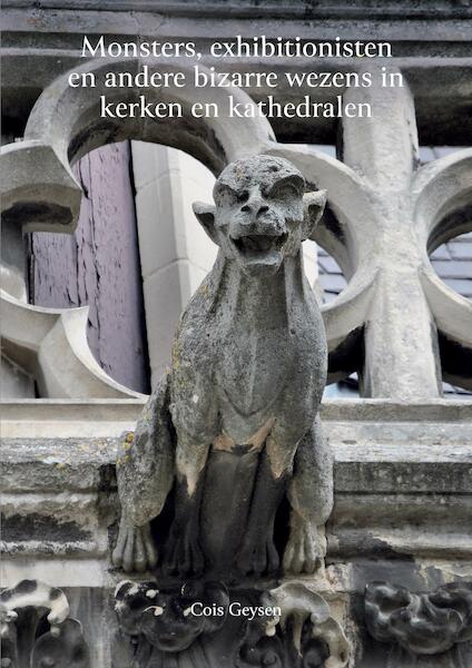 Monsters, exhibitionisten en andere bizarre wezens in kerken en kathedralen - Cois Geysen (ISBN 9789464062267)