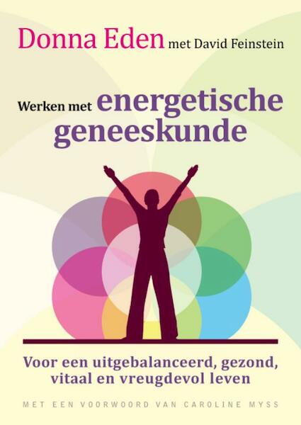 Werken met energetische geneeskunde - Donna Eden, David Feinstein (ISBN 9789401300162)