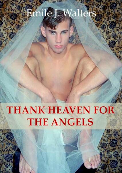 Thank heaven for the angels - E.J. Walters (ISBN 9789461932471)