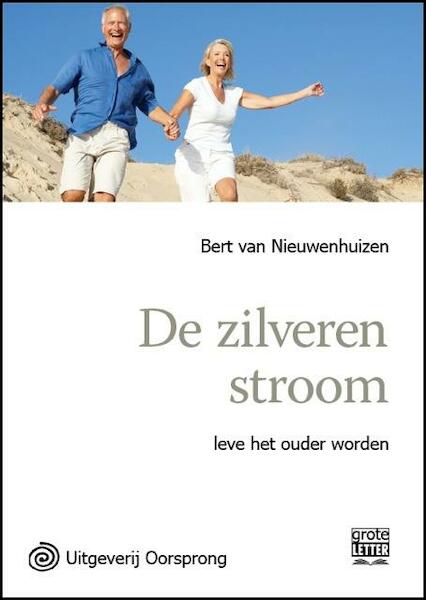 De zilveren stroom - grote letter uitgave - Bert van Nieuwenhuizen (ISBN 9789461011626)