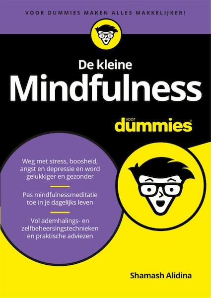 De kleine mindfulness voor dummies - Shamash Alidina (ISBN 9789045350387)
