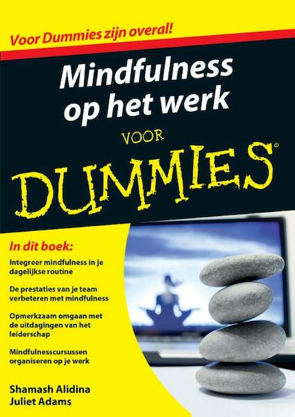 Mindfulness op het werk voor Dummies - Shamash Alidina, Juliet Adams (ISBN 9789045350042)