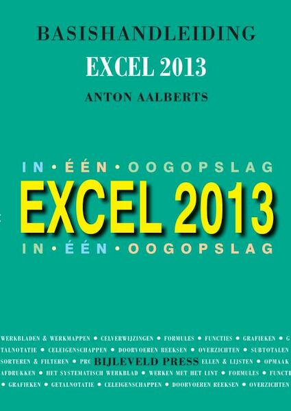 Basishandleiding Excel 2013 - Anton Aalberts (ISBN 9789055482320)