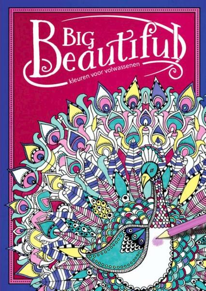 Big beautiful - Hannah Davies (ISBN 9789461885302)