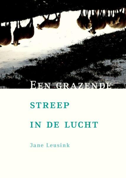 Een grazende streep in de lucht - Jane Leusink (ISBN 9789492190086)
