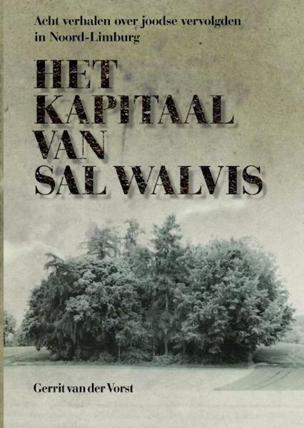 Het kapitaal van Sal Walvis - Gerrit P. van der Vorst (ISBN 9789463184816)