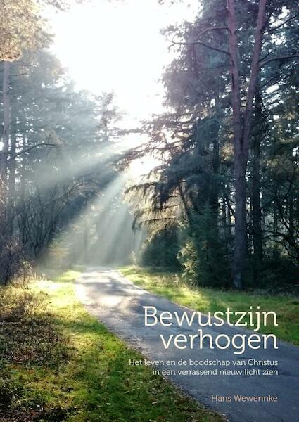 Bewustzijn verhogen - Hans Wewerinke (ISBN 9789463183420)