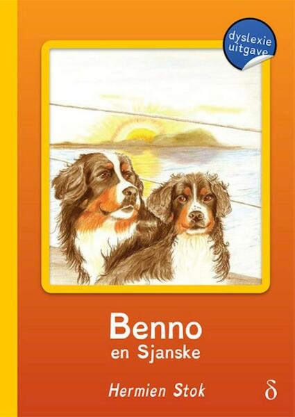Benno en Sjanske - Hermien Stok (ISBN 9789463241588)