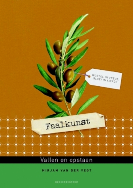 Faalkunst (1 ex.) - Mirjam van der Vegt (ISBN 9789023950691)