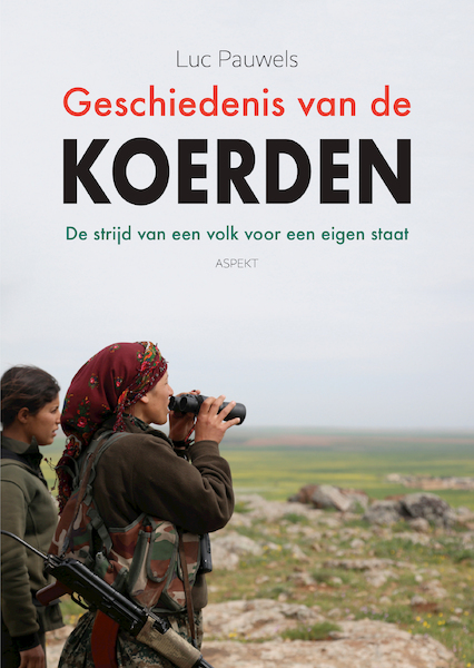 Geschiedenis van de Koerden - Luc Pauwels (ISBN 9789463385640)