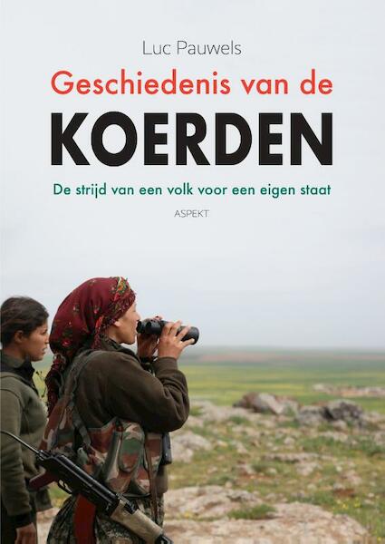 Geschiedenis van de Koerden - Luc Pauwels (ISBN 9789464621105)