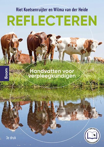 Reflecteren - Riet Koetsenruijter, Wilma van der Heide (ISBN 9789024451579)