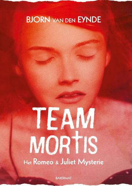 Team mortis - het romeo en juliët mysterie - paperback - Bjorn van den Eynde (ISBN 9789059243040)