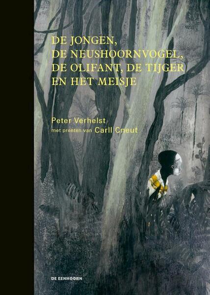 De jongen, de neushoornvogel, de olifant, de tijger en het meisje - Peter Verhelst (ISBN 9789462910560)