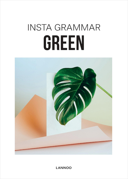 Insta Grammar - Green - Irene Schampaert (ISBN 9789401440554)