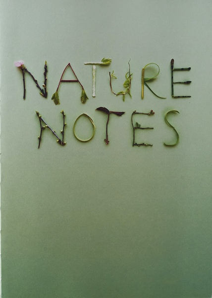 Nature Notes - Chantal van der Erve, Rob Groenen (ISBN 9789083103518)