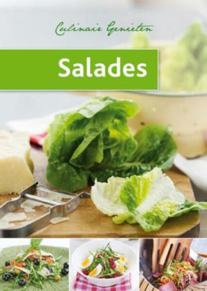 Salades (set van 5) - Hans den Engelsen (ISBN 9789054267065)
