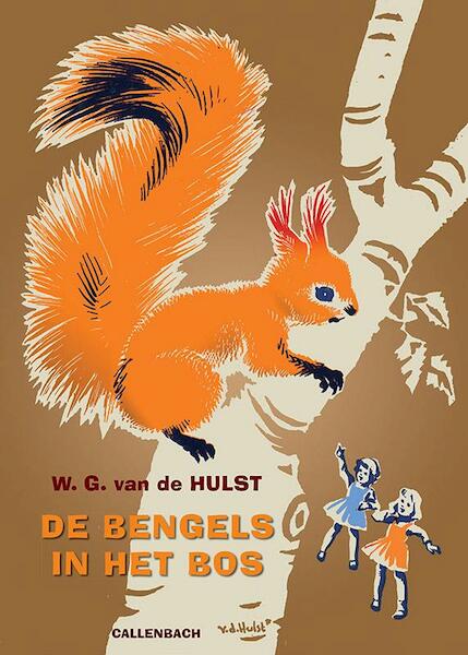 De bengels in het bos - W.G. van de Hulst (ISBN 9789026609138)