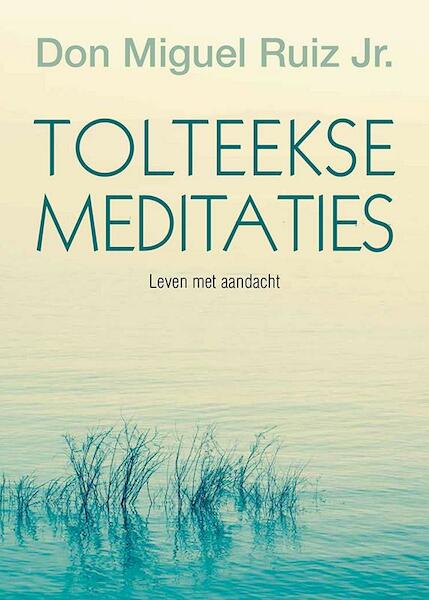 Tolteekse meditaties - Don Miguel Ruiz (ISBN 9789020211078)