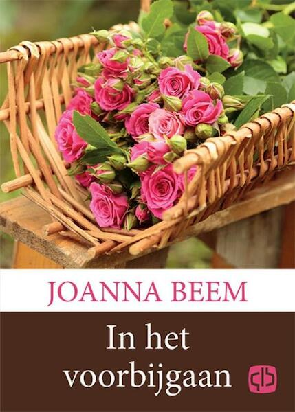 In het voorbijgaan - grote letter uitgave - Joanna Beem (ISBN 9789036430081)