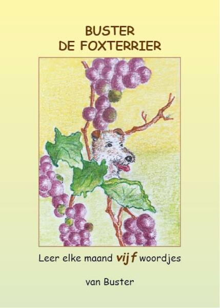 Buster de Foxterrier - Ellen Veldhuijzen (ISBN 9789492597137)