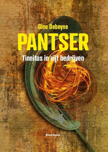 Pantser - Gino Debeyne (ISBN 9789492934604)