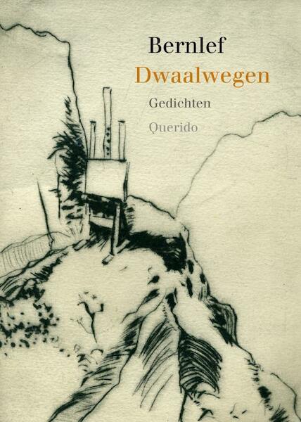 Dwaalwegen - Bernlef (ISBN 9789021434551)