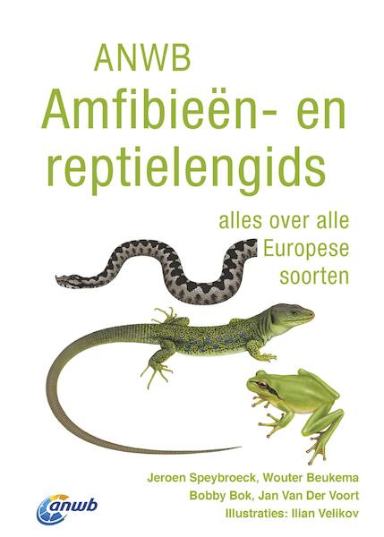 ANWB Amfibieën- en reptielengids - Jeroen Speybroeck, Wouter Beukema (ISBN 9789021566566)