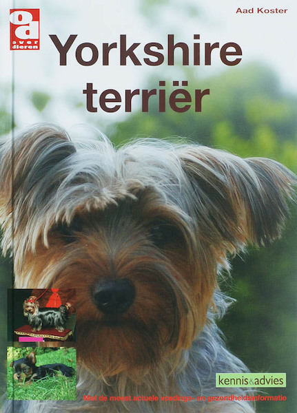 Yorkshire terrier - A. Koster (ISBN 9789058216052)