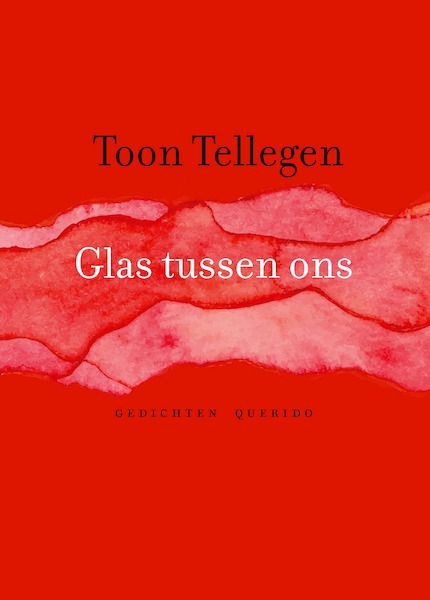 Glas tussen ons - Toon Tellegen (ISBN 9789021415284)