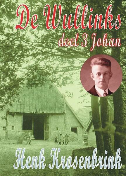 De Wullinks 3 Johan - Henk Krosenbrink (ISBN 9789055122912)