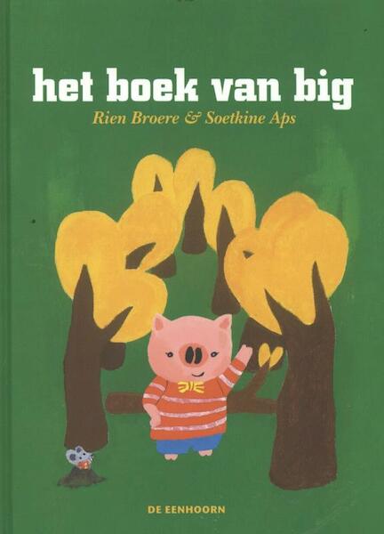 Het boek van big - Rien Broere (ISBN 9789058387912)