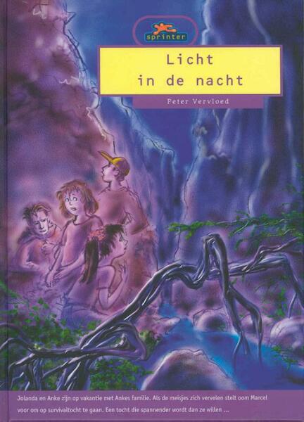 Licht in de nacht - Peter Vervloed (ISBN 9789043701303)