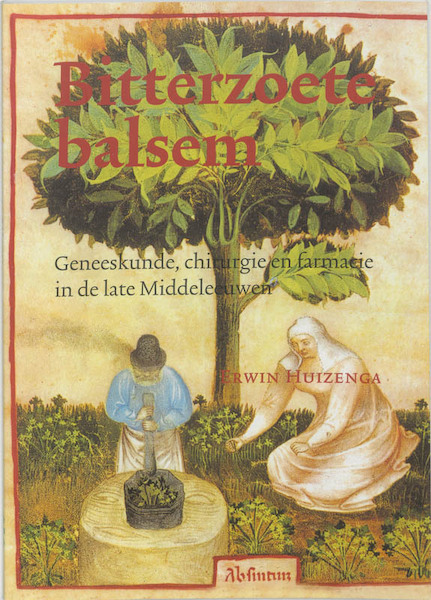 Bitterzoete balsem - E. Huizenga (ISBN 9789065508355)