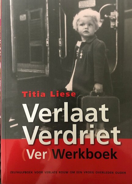 Verlaat Verdriet (Ver)Werkboek - T. Liese, E. Pronk (ISBN 9789078163022)