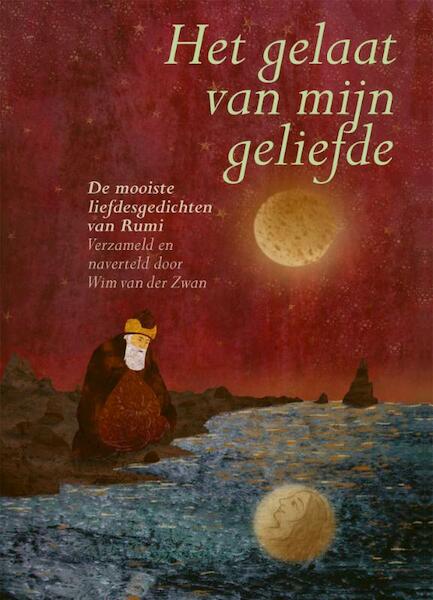 Het gelaat van mijn liefde - Wim van der Zwan (ISBN 9789401301022)
