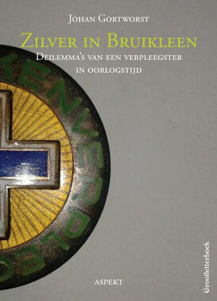 Zilver in bruikleen grootletterboek - Johan Gortworst (ISBN 9789461535054)