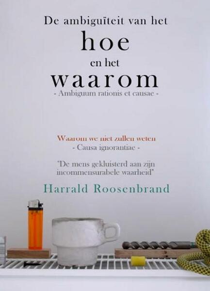 De ambiguïteit van het hoe en het waarom - Harrald Roosenbrand (ISBN 9789492247186)