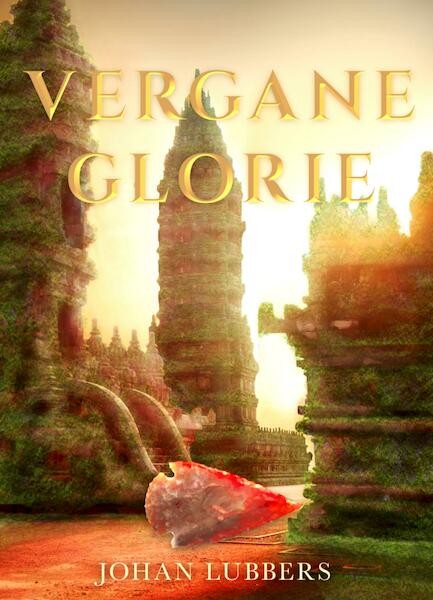 Vergane glorie - Johan Lubbers (ISBN 9789463082587)