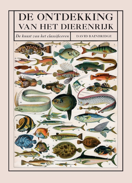 De ontdekking van het dierenrijk - David BainBridge (ISBN 9789002269257)