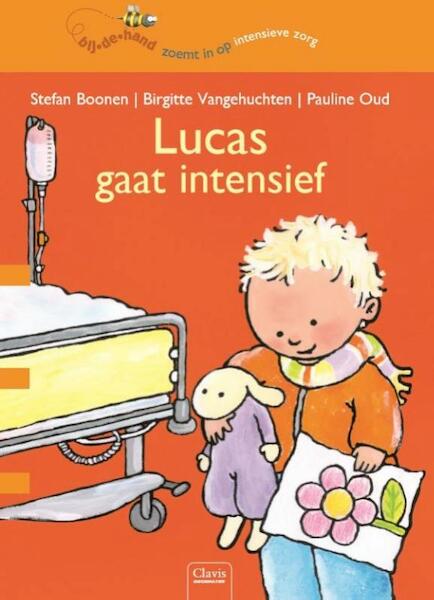 Een intensieve dag voor Lucas - Stefan Boonen, Brigitte Vangehugten (ISBN 9789044817942)