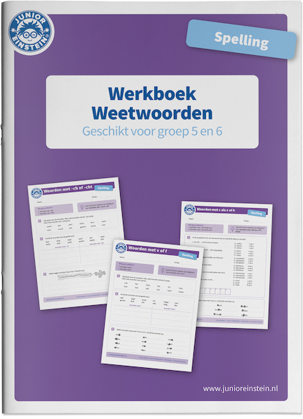 Spelling Weetwoorden Werkboek voor groep 5 en 6 - (ISBN 9789492265807)