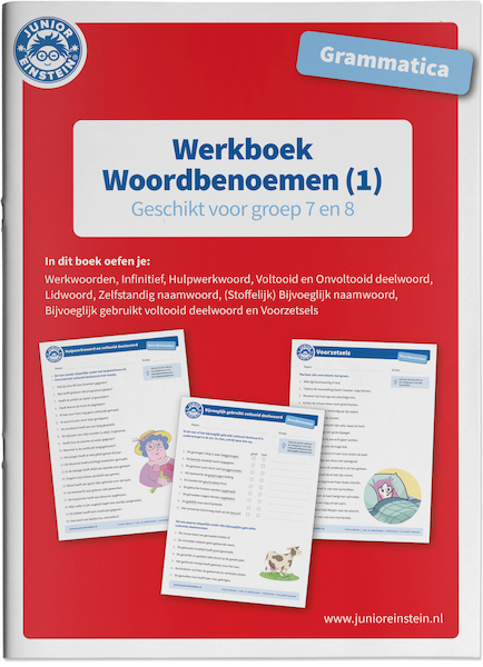 Werkboek Woordbenoemen Grammatica deel 1 Groep 7 en 8 - (ISBN 9789493128163)