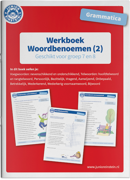 Woordbenoemen Werkboek Grammatica deel 2 Groep 7 en 8 - (ISBN 9789493128170)