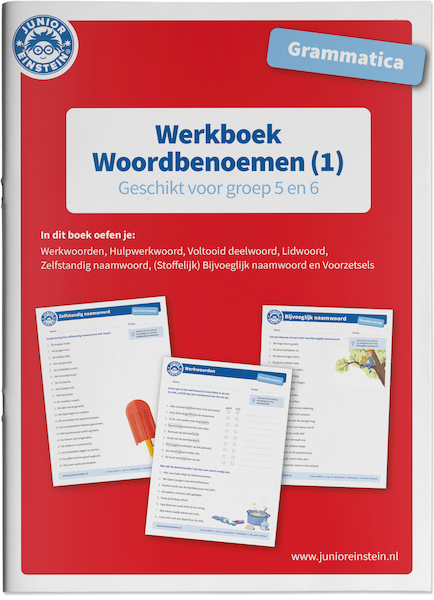 Woordbenoemen Werkboek Grammatica deel 1 voor groep 5 en 6 - (ISBN 9789493128132)
