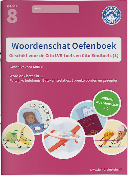Woordenschat Oefenboek deel 1 - (ISBN 9789493128347)