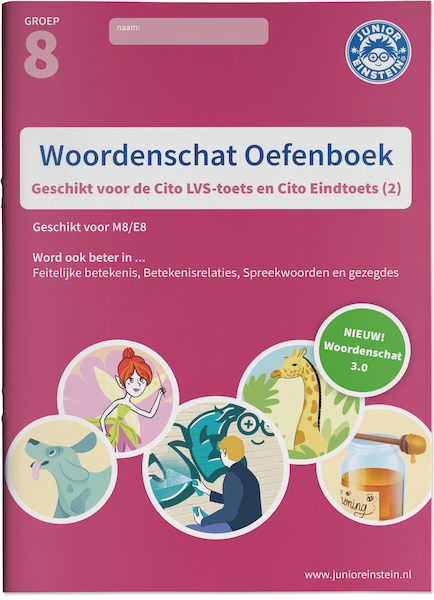 Woordenschat Oefenboek deel 2 - (ISBN 9789493128354)