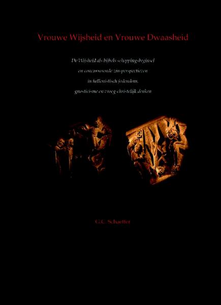 Vrouwe Wijsheid en Vrouwe Dwaasheid - G.C. Schaeffer (ISBN 9789058817785)