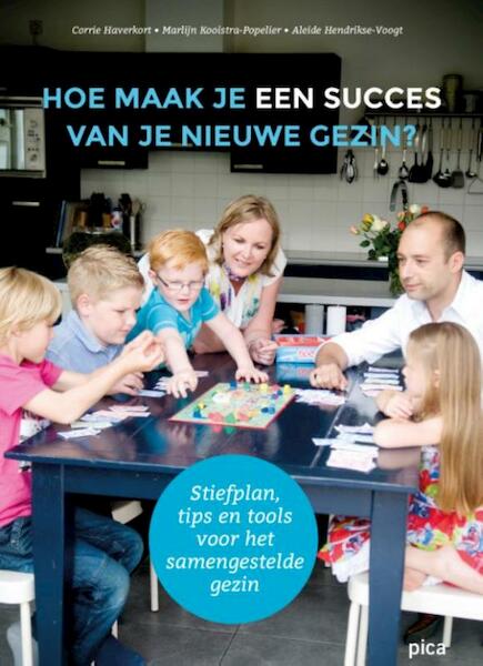 Hoe maak je een succes van je nieuwe gezin ? - Corrie Haverkort, Marlijn Kooistra-Popelier, Aleide Hendrikse-Voogt (ISBN 9789491806995)